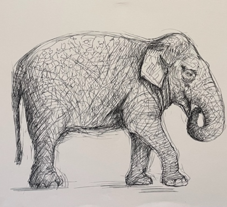 An Art Class Like No Other: Creative Drawing for Adults (18+)