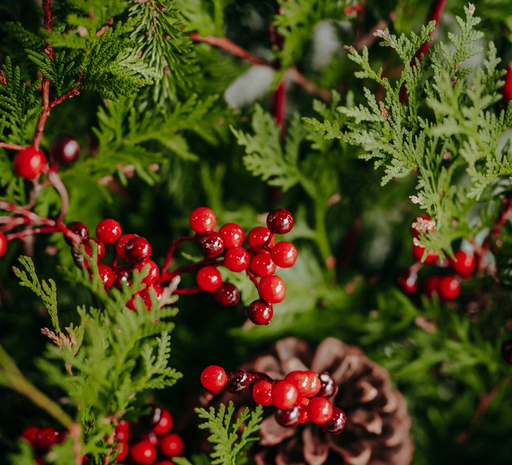 Wreath and Holiday Decor (All ages)